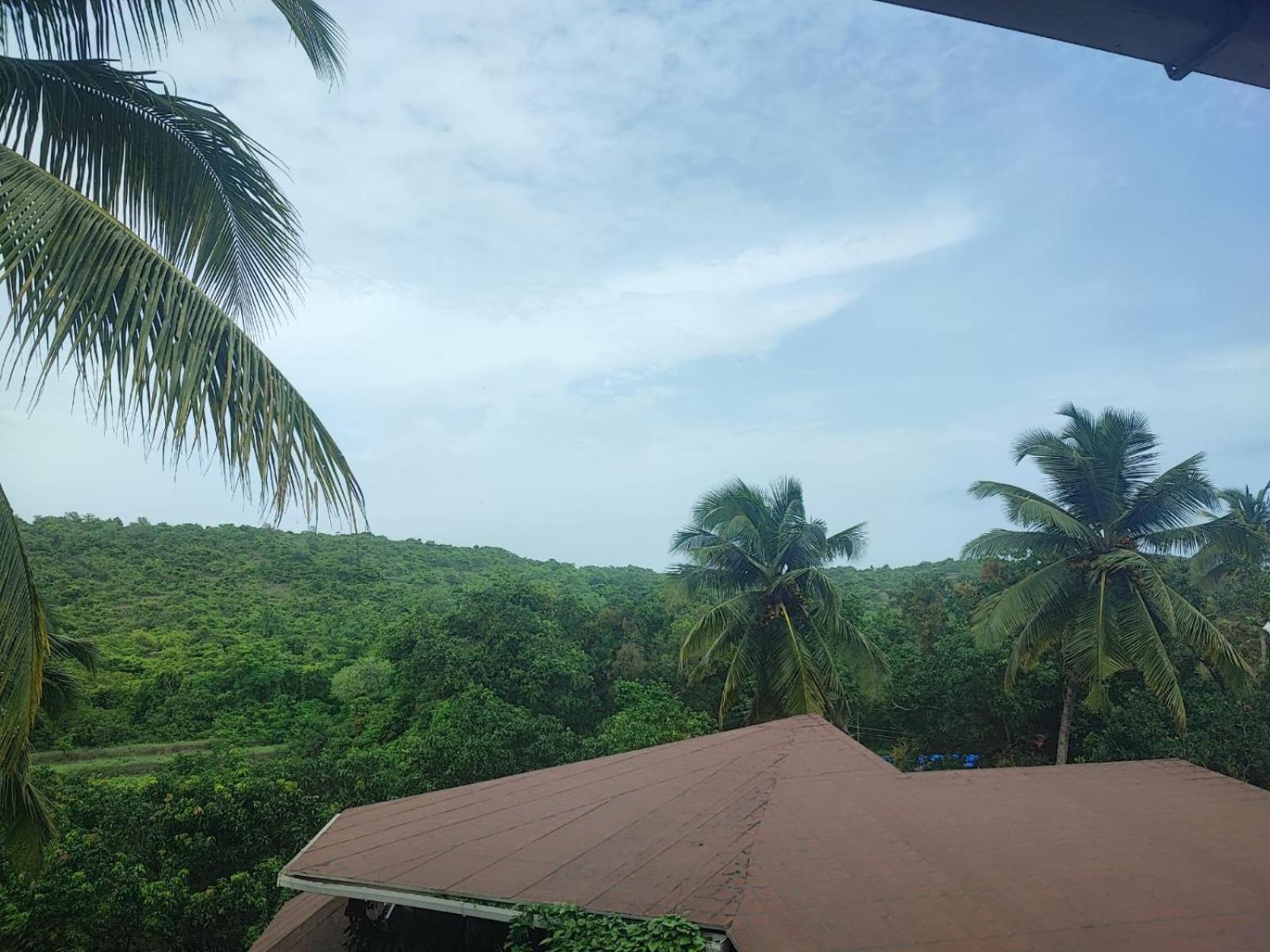 The Verda De Miranda Resort Morjim North Goa 외부 사진